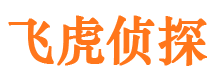 居巢市调查公司